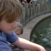 MN State Fair: DNR Stocks the Fish Pond