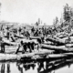 a log jam on the river