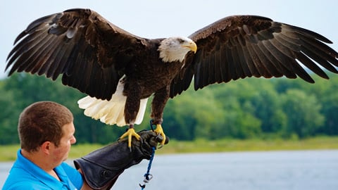 Discover The Majestic Beauty Of Eagle Lake In Minnesota
